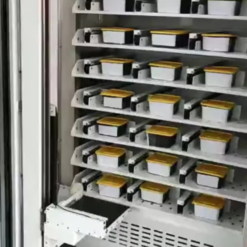 Özelleştirilmiş Sıcak Yemek Öğ - Food Snacks To Eat incelemesi ve fiyatı